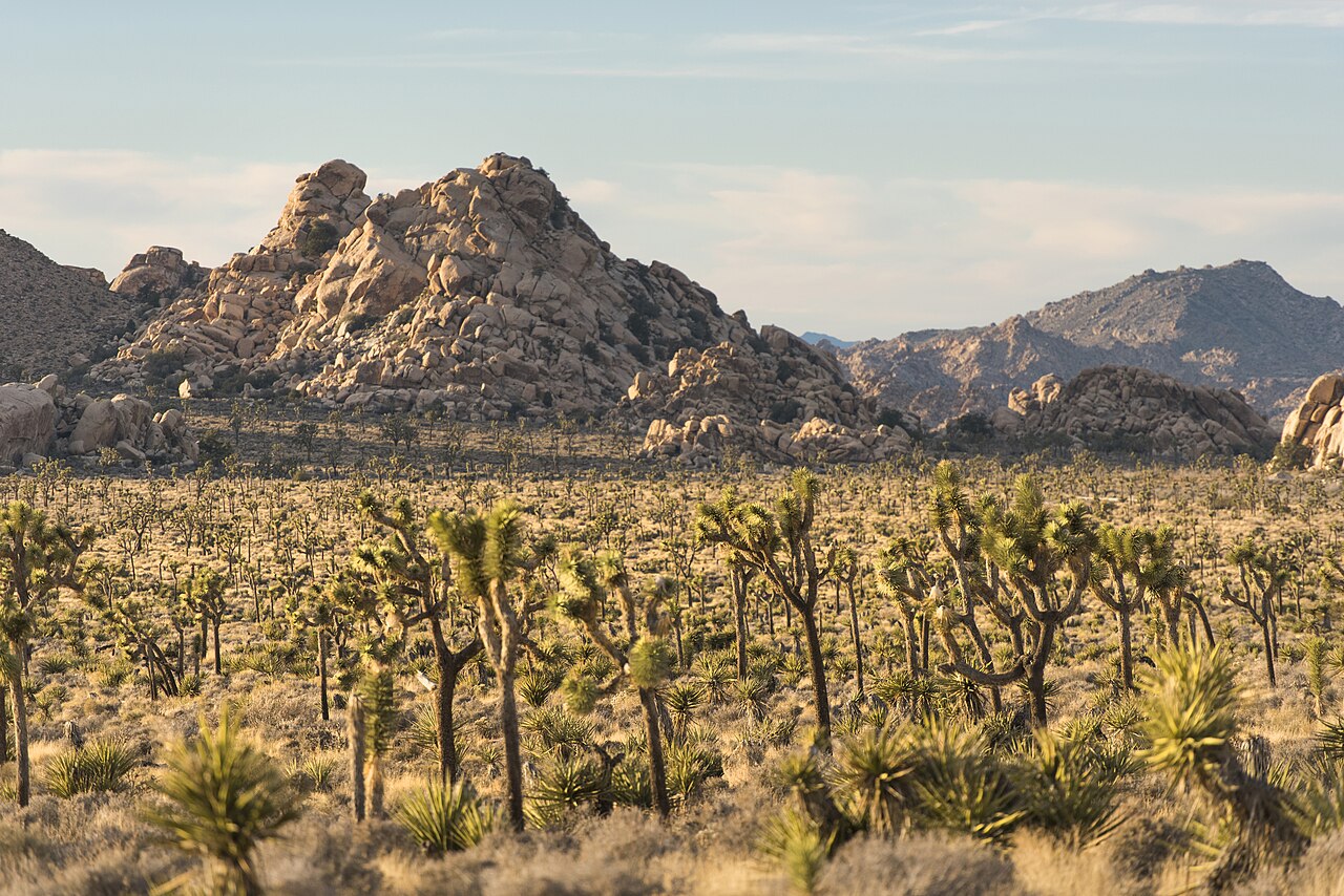 The Lost Valley