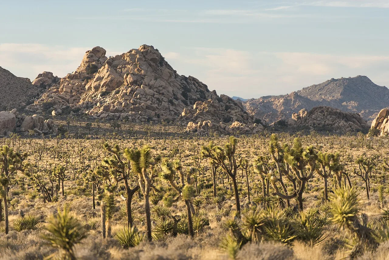 The Lost Valley